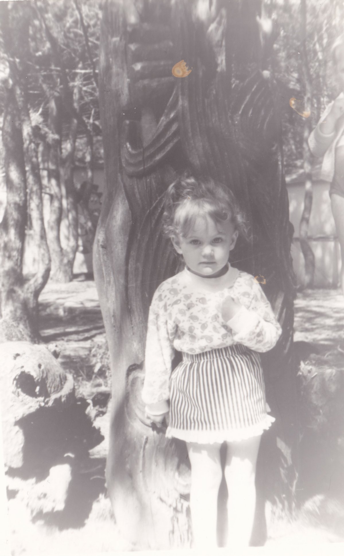 Козаева А. Г. - Фото 16