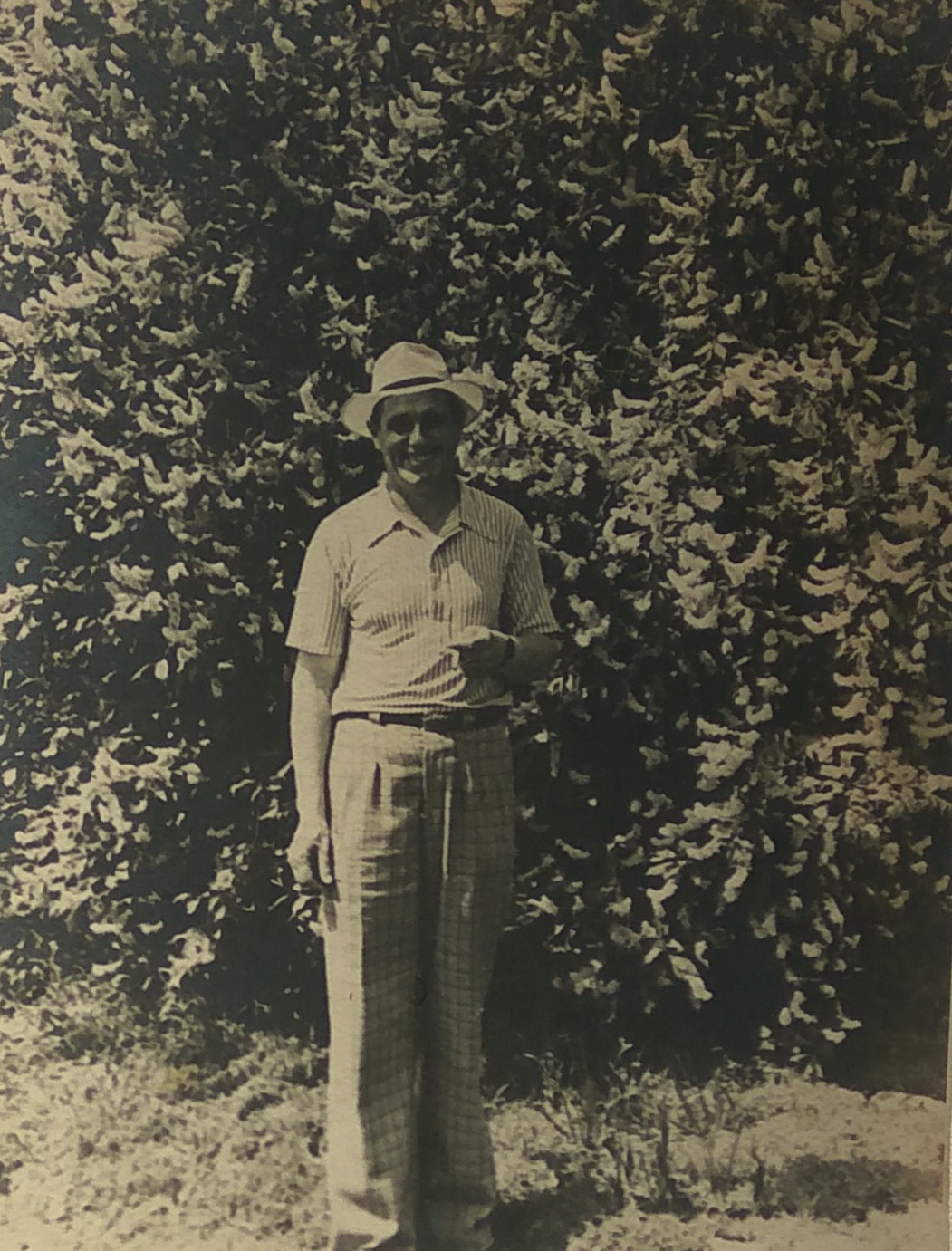 Чернышов А. Е. - Фото 01