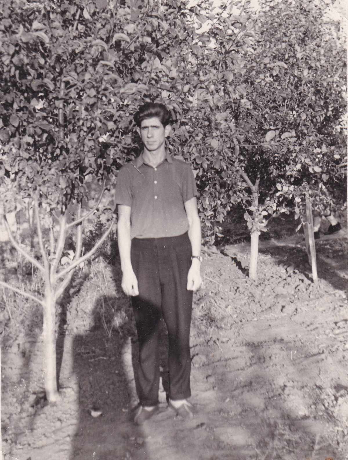 Чернышов В. Е. - Фото 02