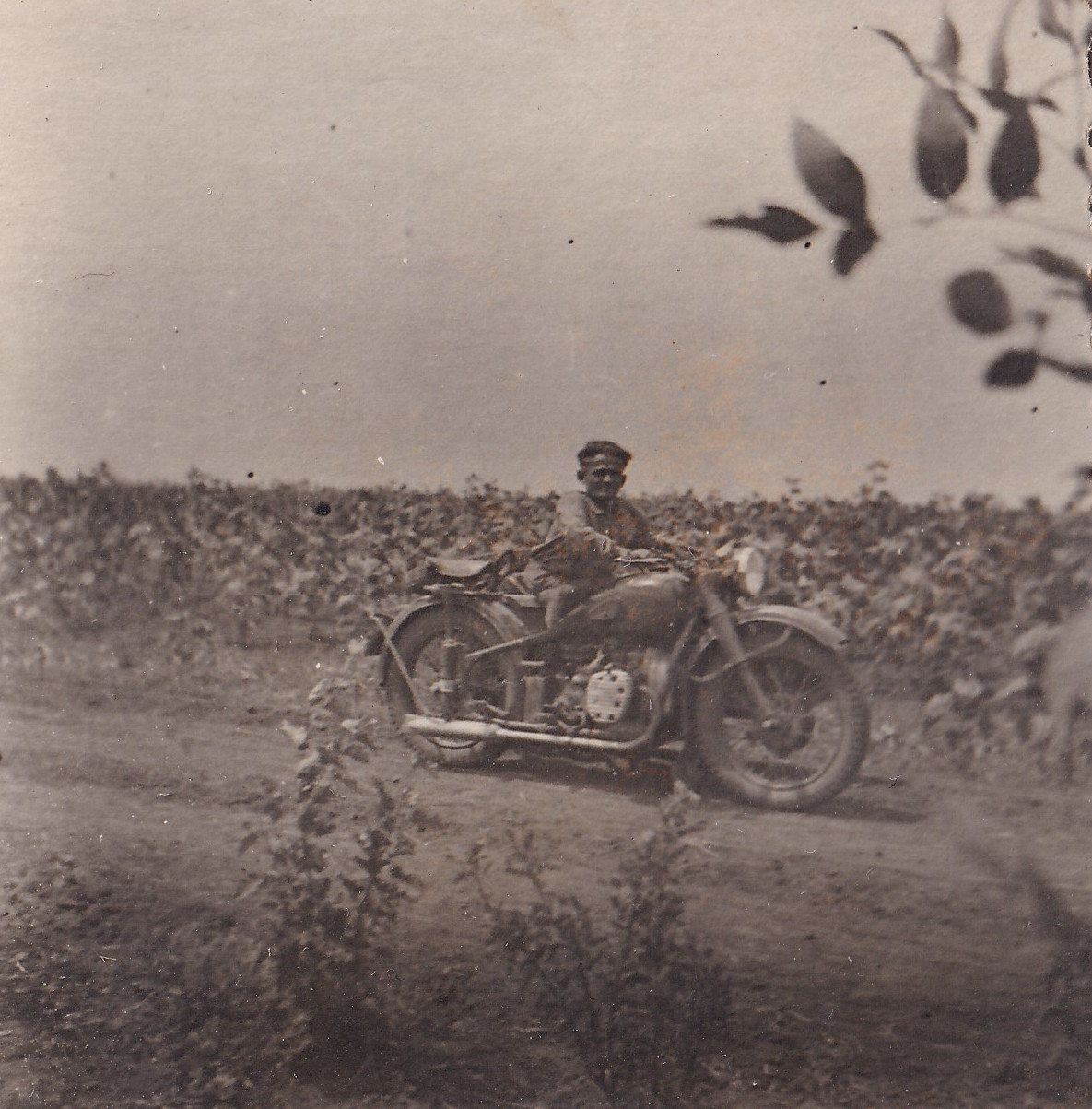 Яценко Н. С. - Фото 06